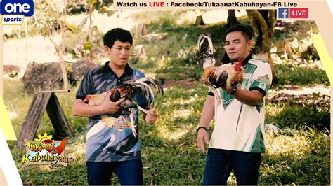 Mga video ng tukaan at kabuhayan.
